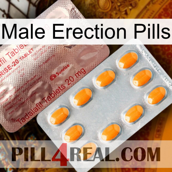 Male Erection Pills new13.jpg